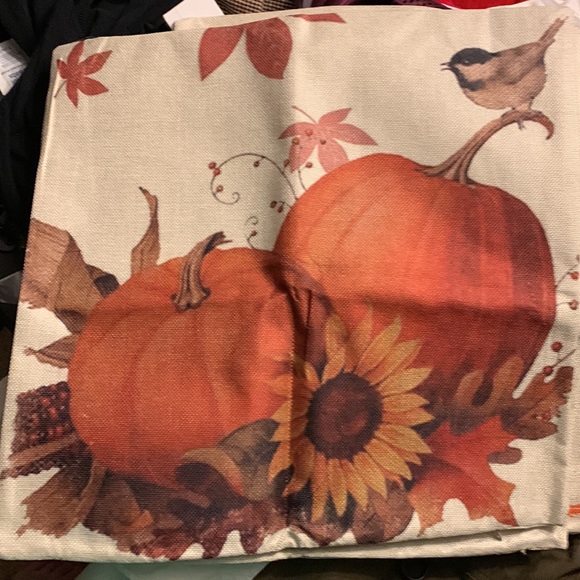 Set of 4 CDWERD fall pillow covers size 17 1/4” x 17 1/4” - Picture 5 of 5
